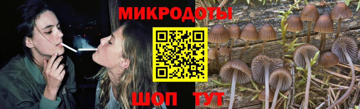 Псилоцибиновые грибы Magic Shrooms  Вход с VPN  Липецк 
